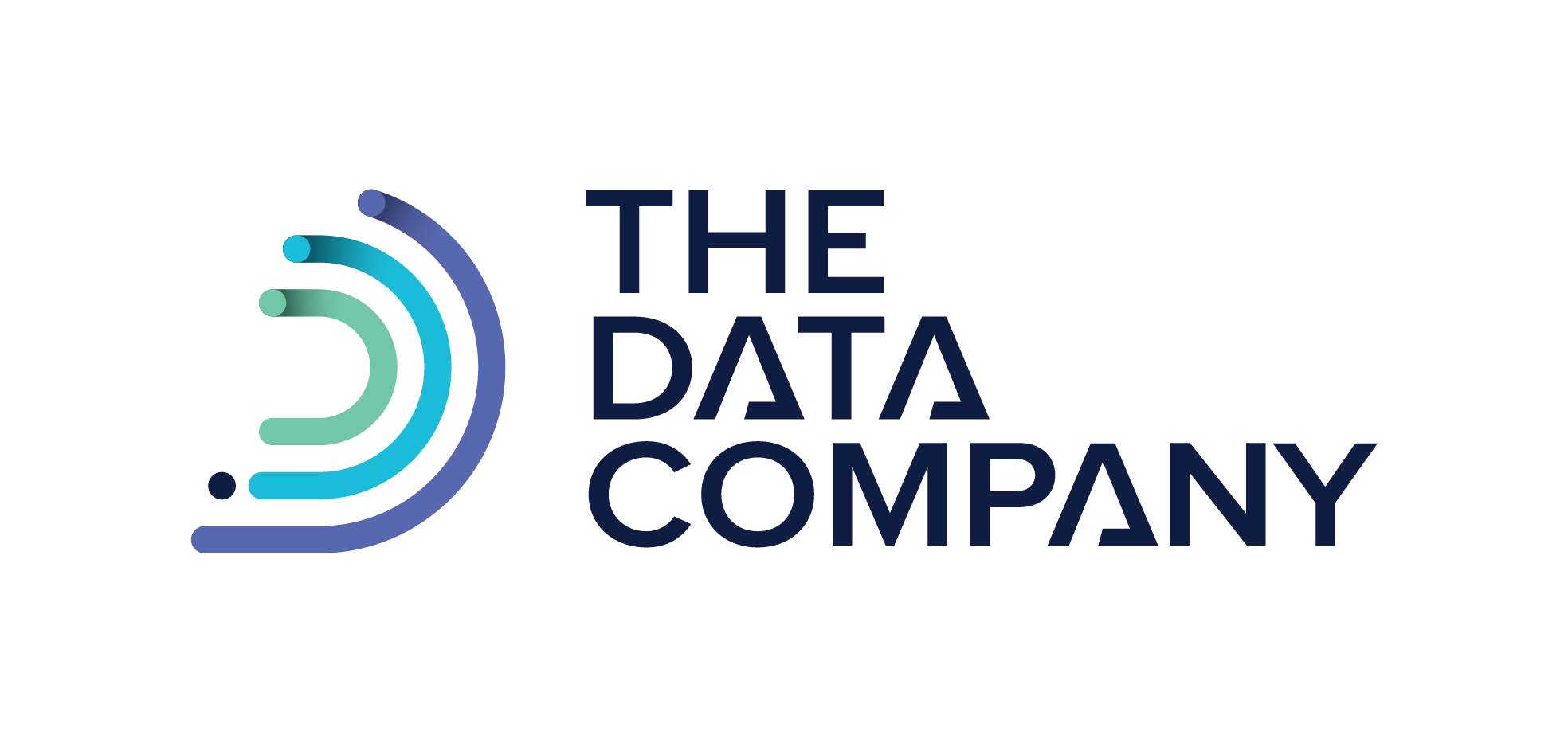 The Data Company logo